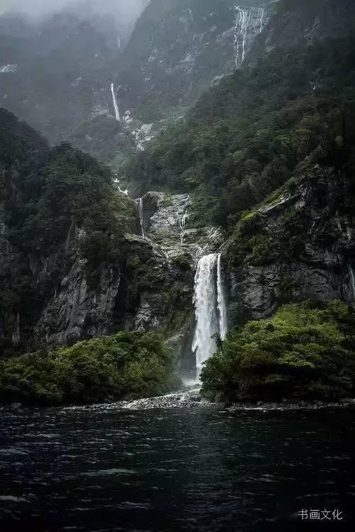 淘气兔救援